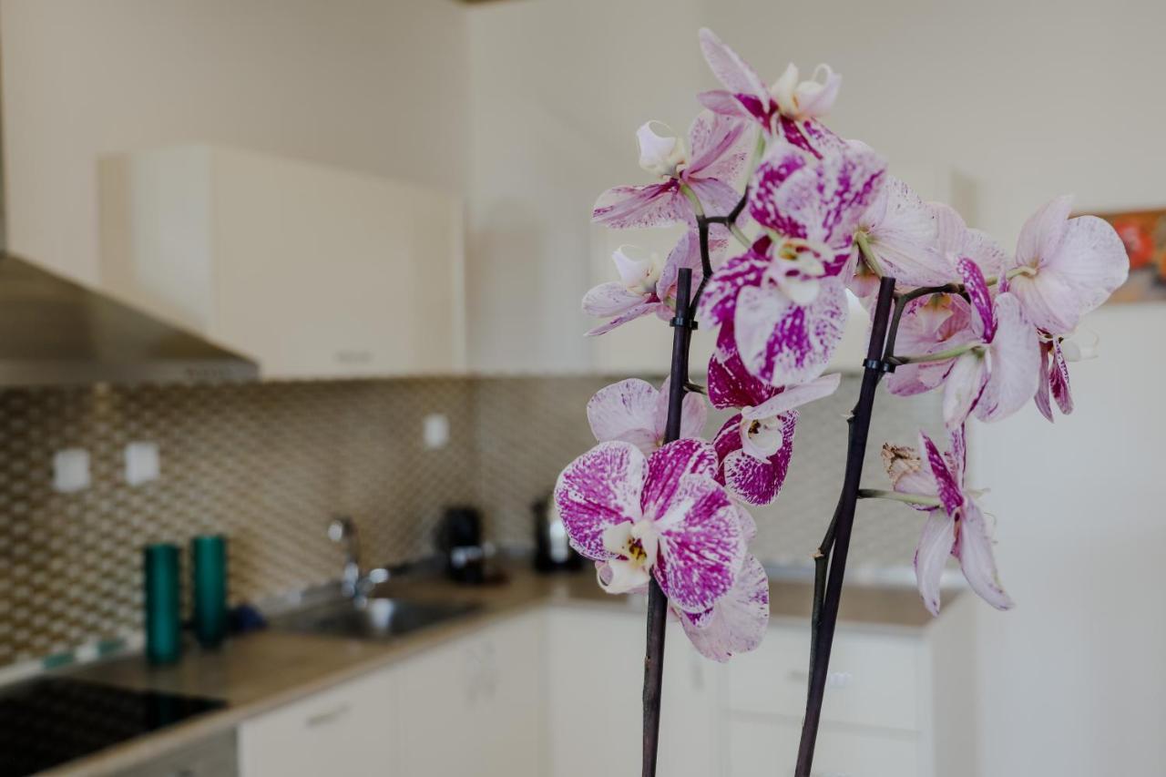 Apartament Endless Blue PalaiónTsiflíkion Zewnętrze zdjęcie
